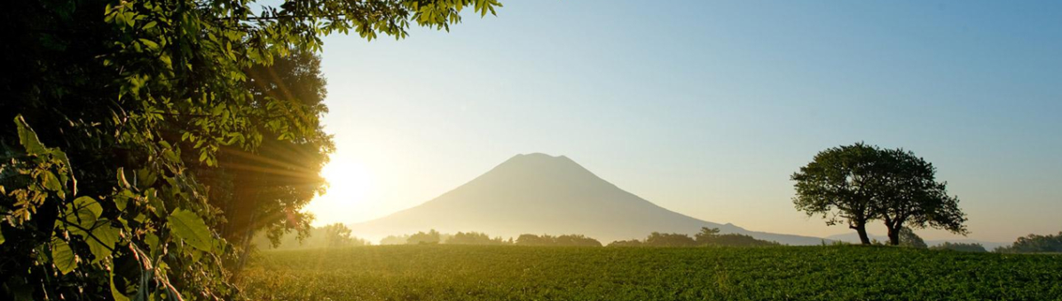 Yotei in summer