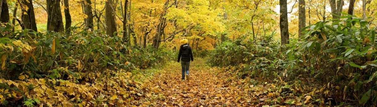 autumn-niseko-glen-banner